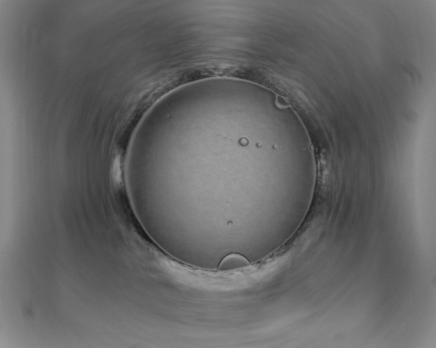 X0000112720042200908201257