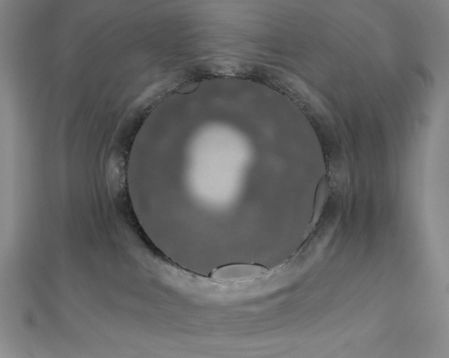 X0000112720043200908201257