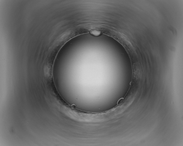 X0000112720044200908201257