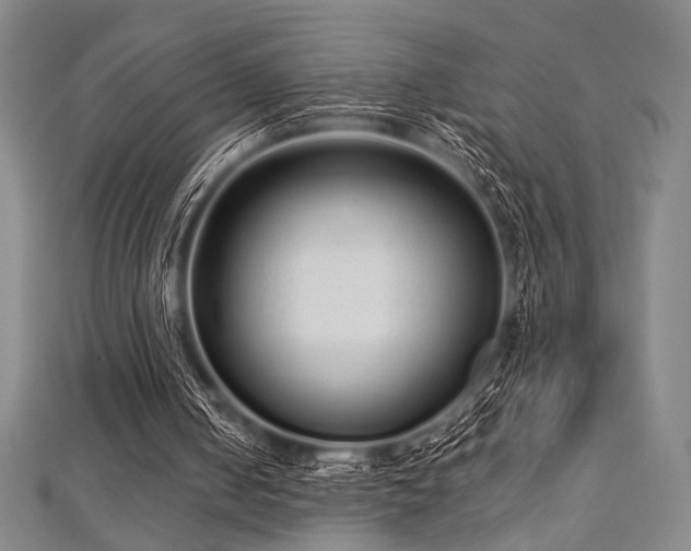 X0000112720050200908201257