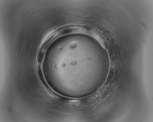 X0000112720053200908201257