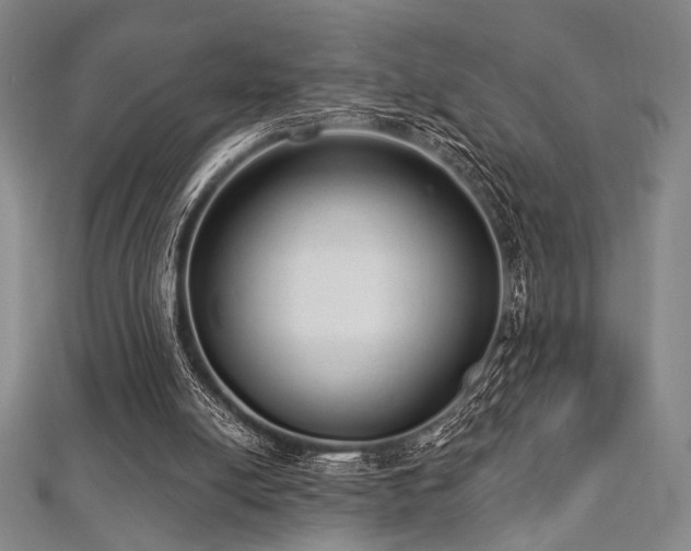 X0000112720054200908201257