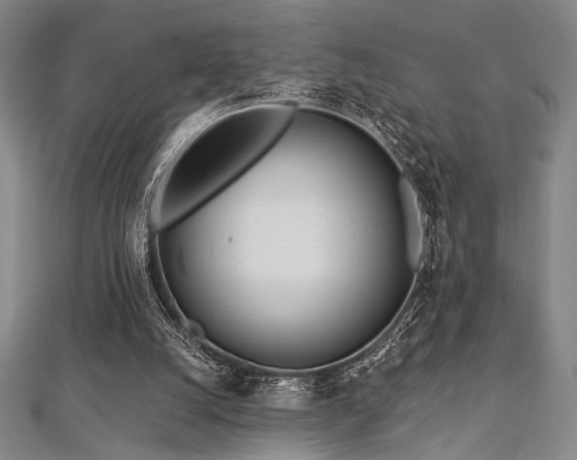 X0000112720056200908201257