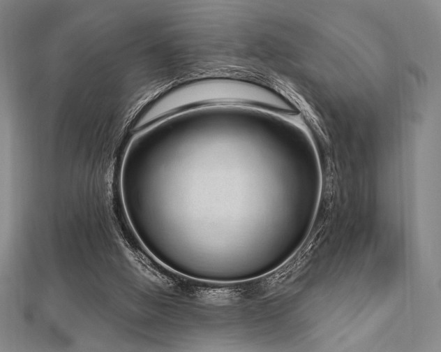 X0000112720058200908201257