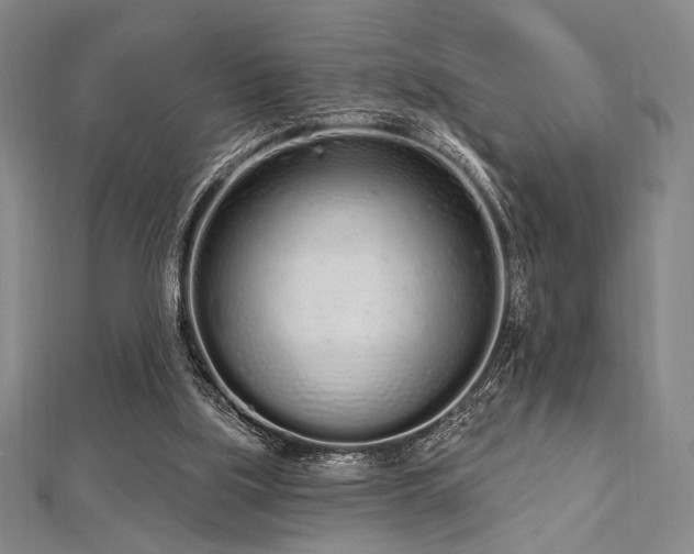 X0000112720059200908201257