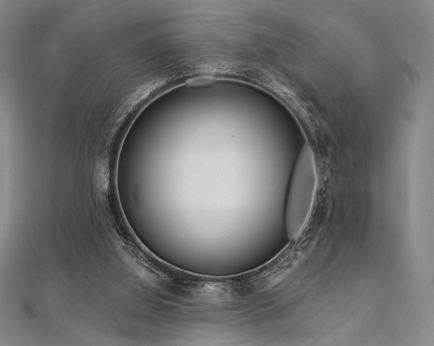 X0000112720060200908201257