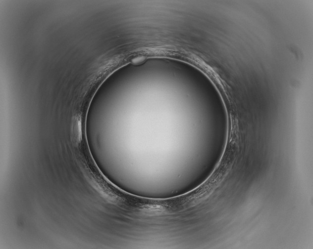 X0000112720061200908201257