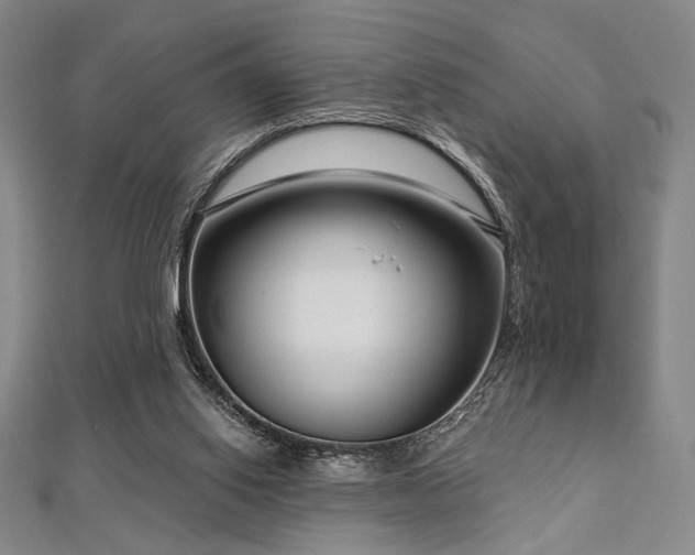 X0000112720062200908201257