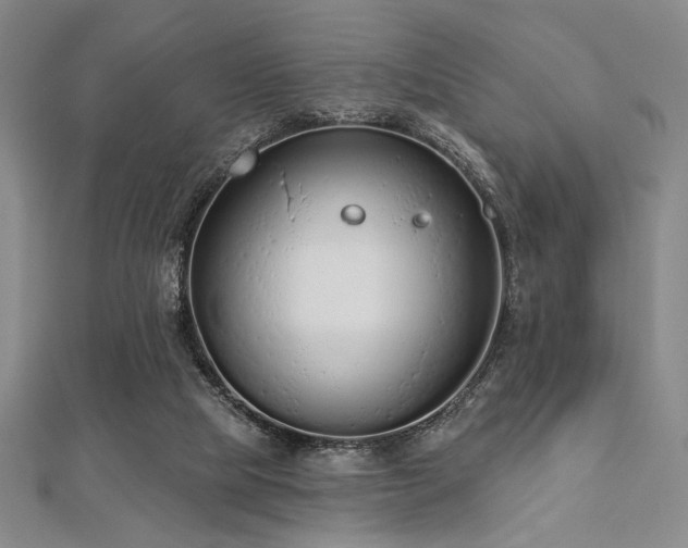 X0000112720065200908201257