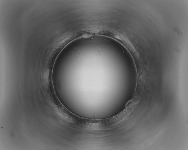 X0000112720066200908201257