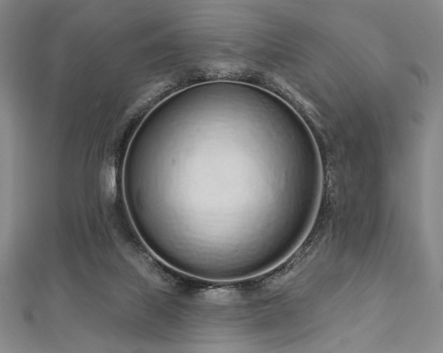 X0000112720067200908201257