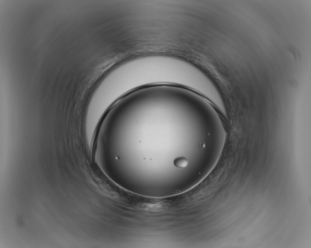 X0000112720068200908201257