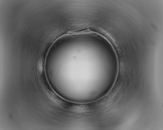 X0000112720069200908201257