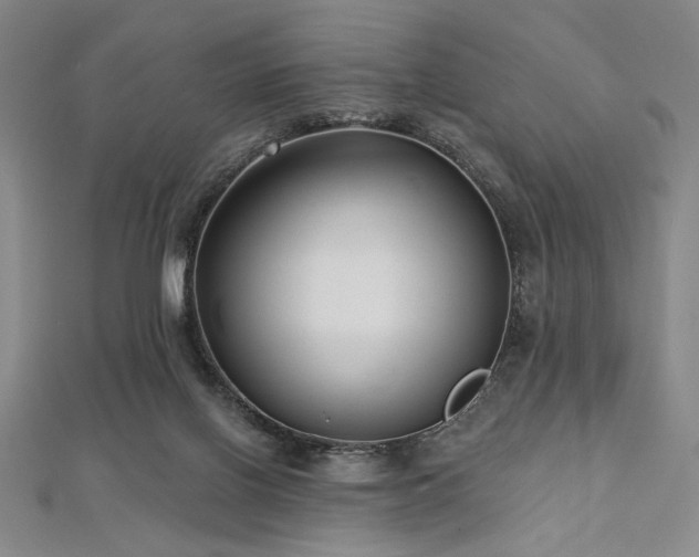 X0000112720070200908201257