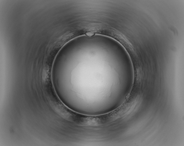 X0000112720073200908201257