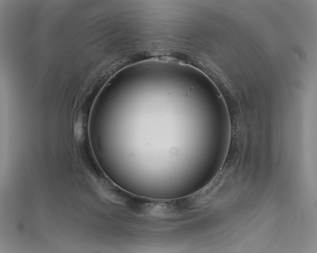 X0000112720074200908201257