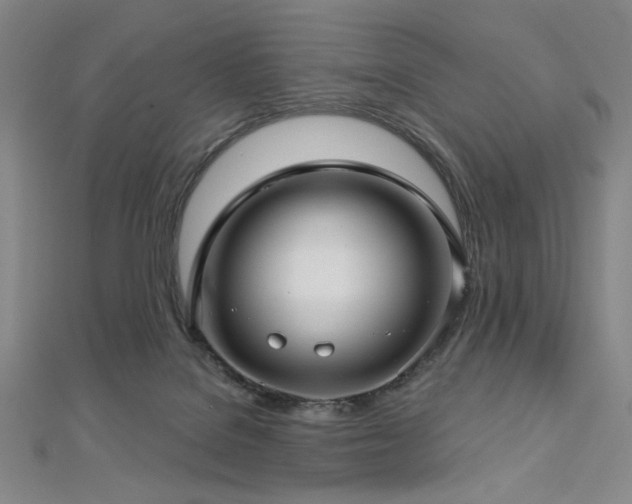 X0000112720076200908201257