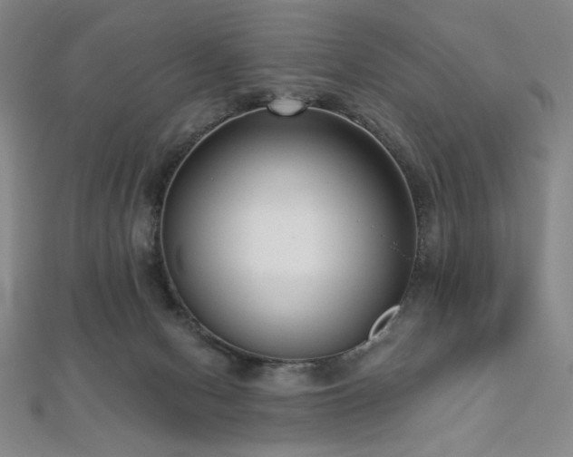 X0000112720078200908201257