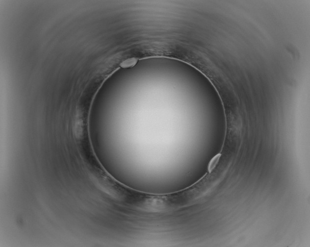 X0000112720080200908201257