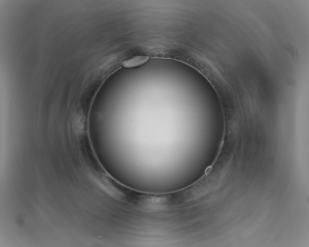 X0000112720081200908201257