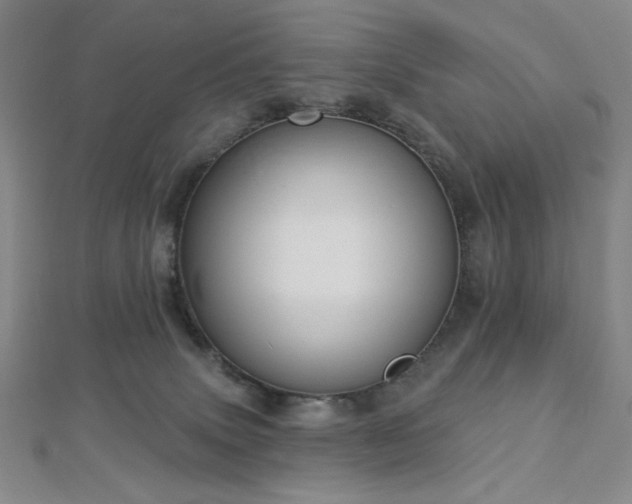 X0000112720083200908201257