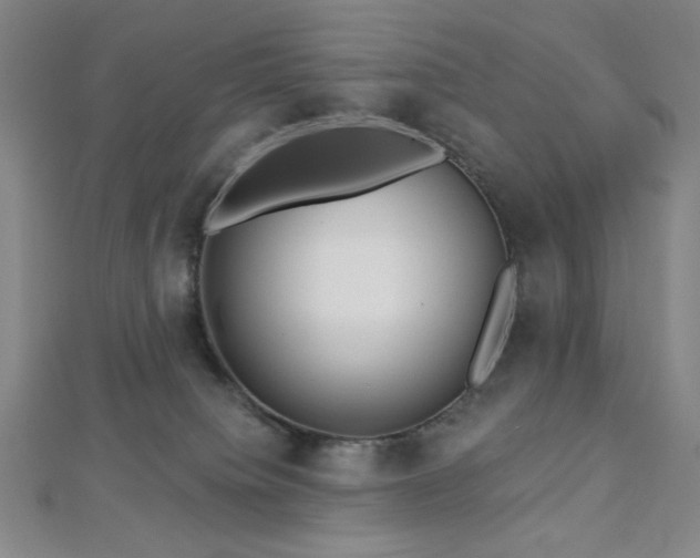 X0000112720084200908201257