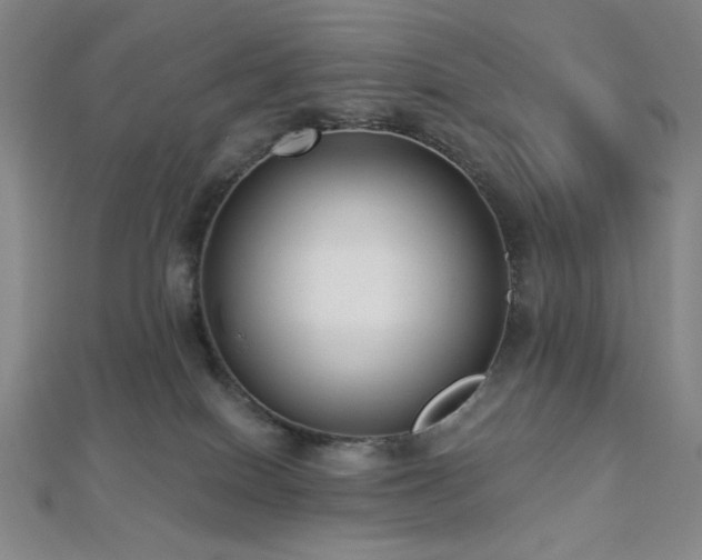 X0000112720086200908201257