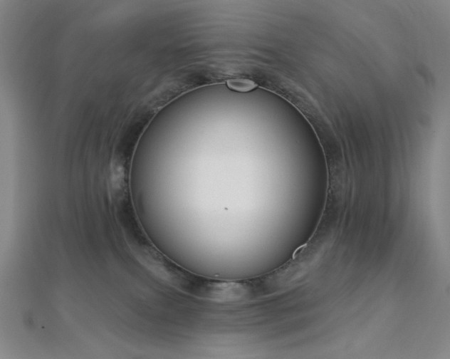 X0000112720087200908201257