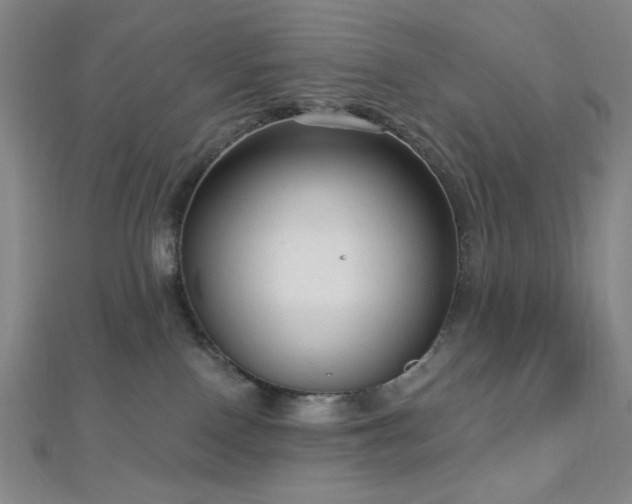 X0000112720090200908201257