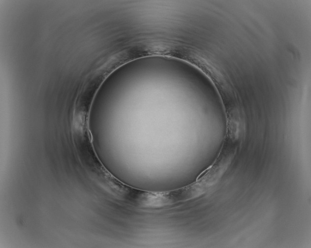 X0000112720093200908201257