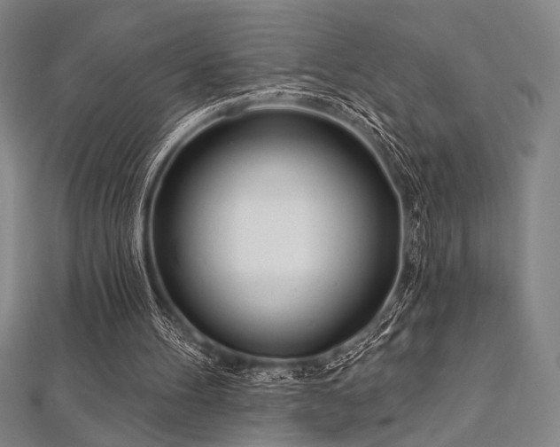 X0000112720100200908201256