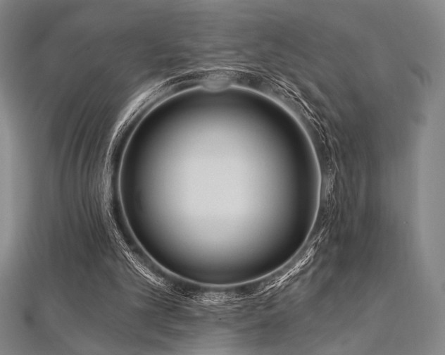 X0000112720101200908201256