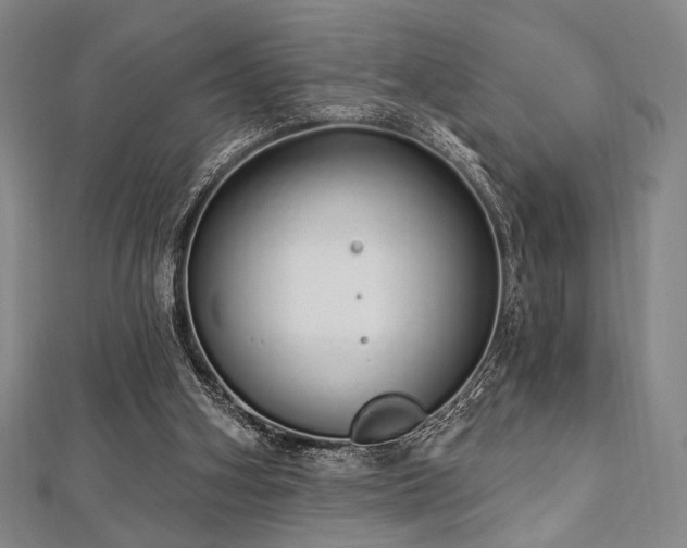 X0000112720106200908201256