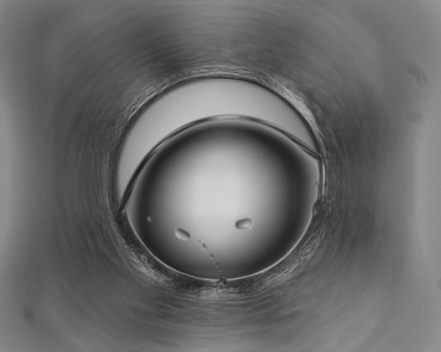 X0000112720109200908201256
