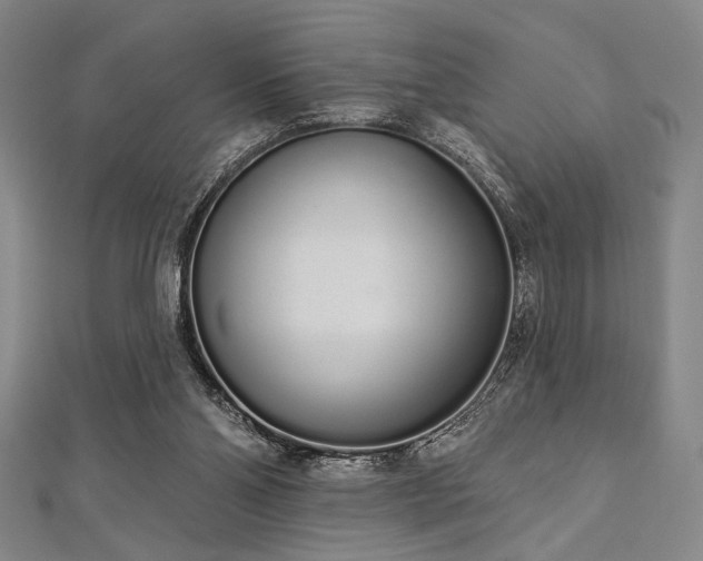 X0000112720110200908201256