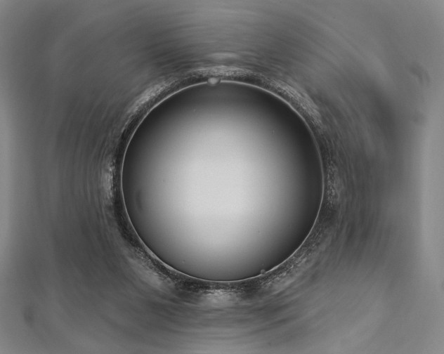 X0000112720111200908201256