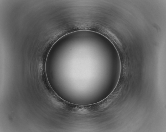 X0000112720113200908201256