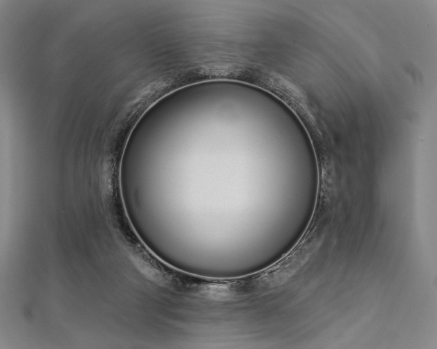 X0000112720114200908201256