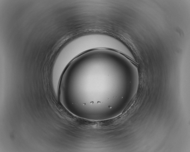 X0000112720116200908201256