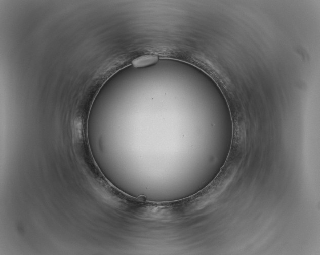 X0000112720117200908201256