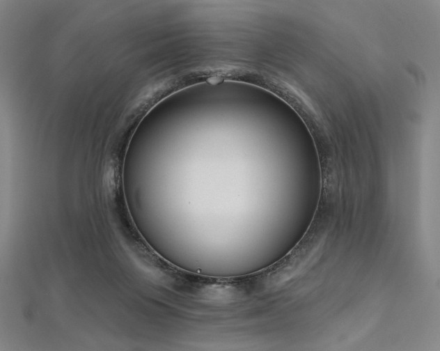 X0000112720119200908201256