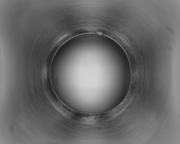 X0000112720120200908201256