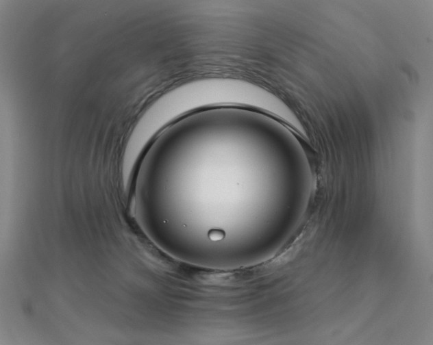 X0000112720132200908201256