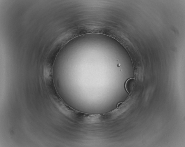X0000112720138200908201256