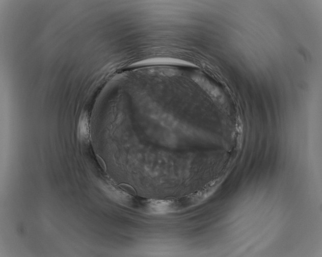 X0000112720143200908201256