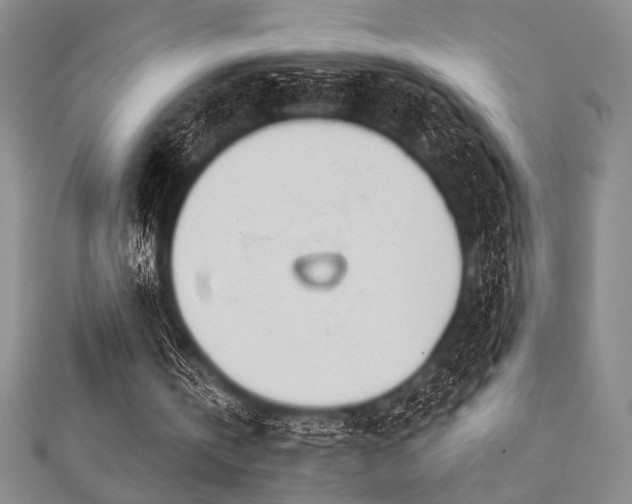 X0000112720146200908201255