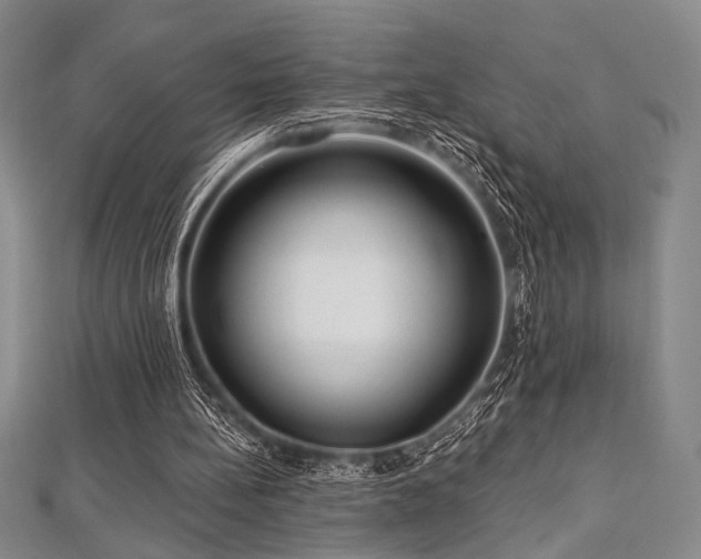 X0000112720148200908201255