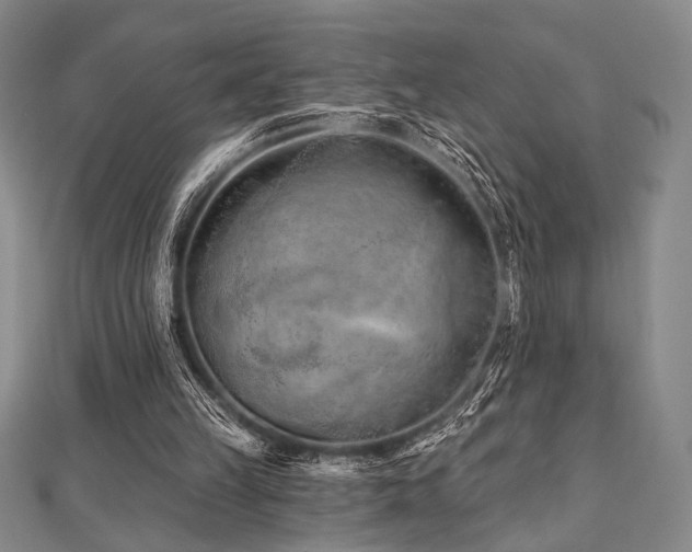 X0000112720149200908201255