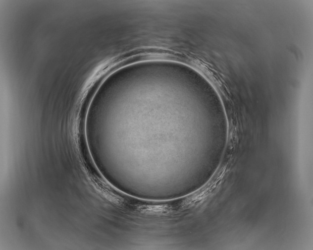 X0000112720151200908201255