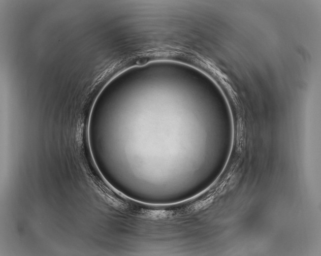X0000112720153200908201255